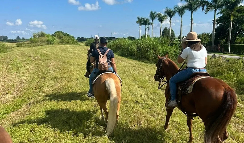 1 Hour Horseback Riding Tour & Meet and greet