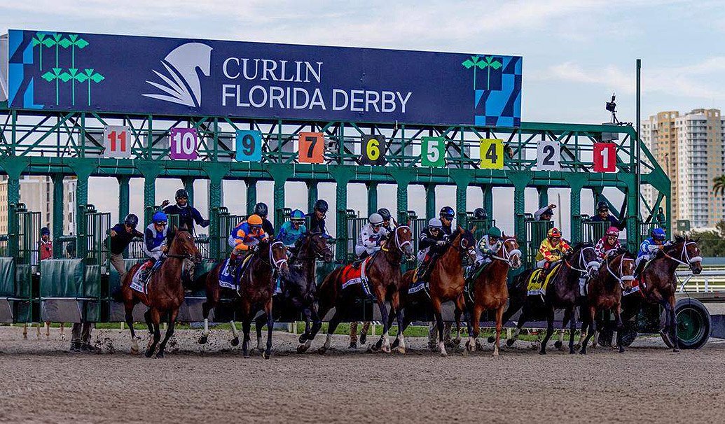 Curlin Florida Derby
