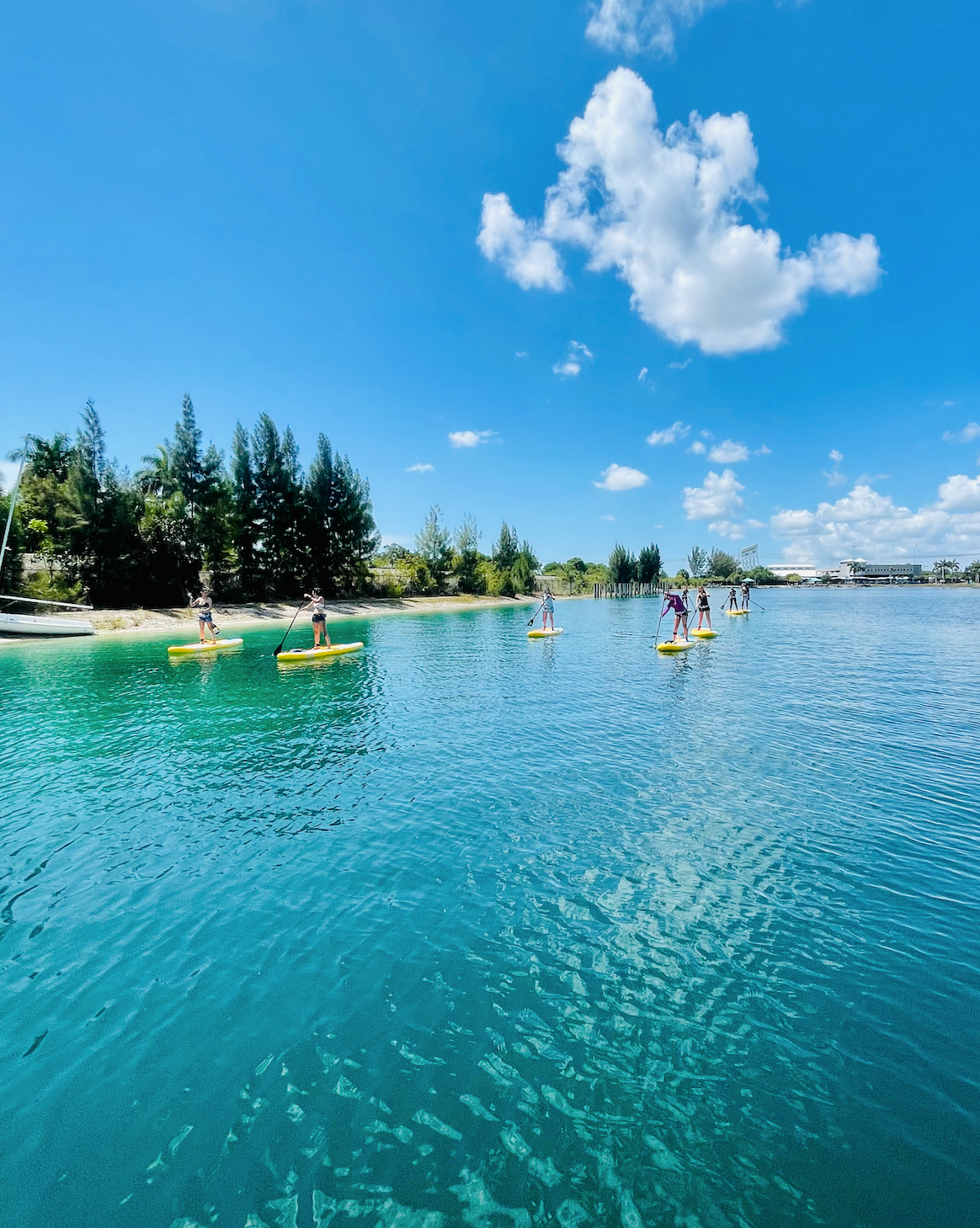 Private SUP Learn to Paddle Lesson - Tigertail Lake