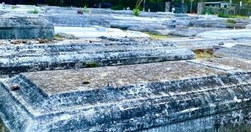 Ghosts, Cocaine Cowboys and Prohibition in Miami Tour