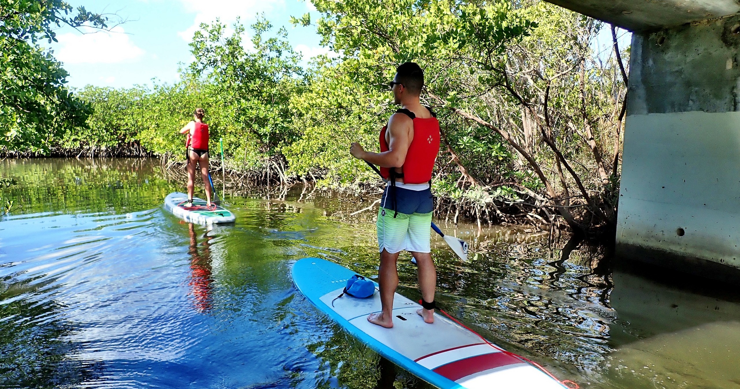 Mangrove Stand Up  Paddleboard Eco Adventure • Hollywood/Dania Area