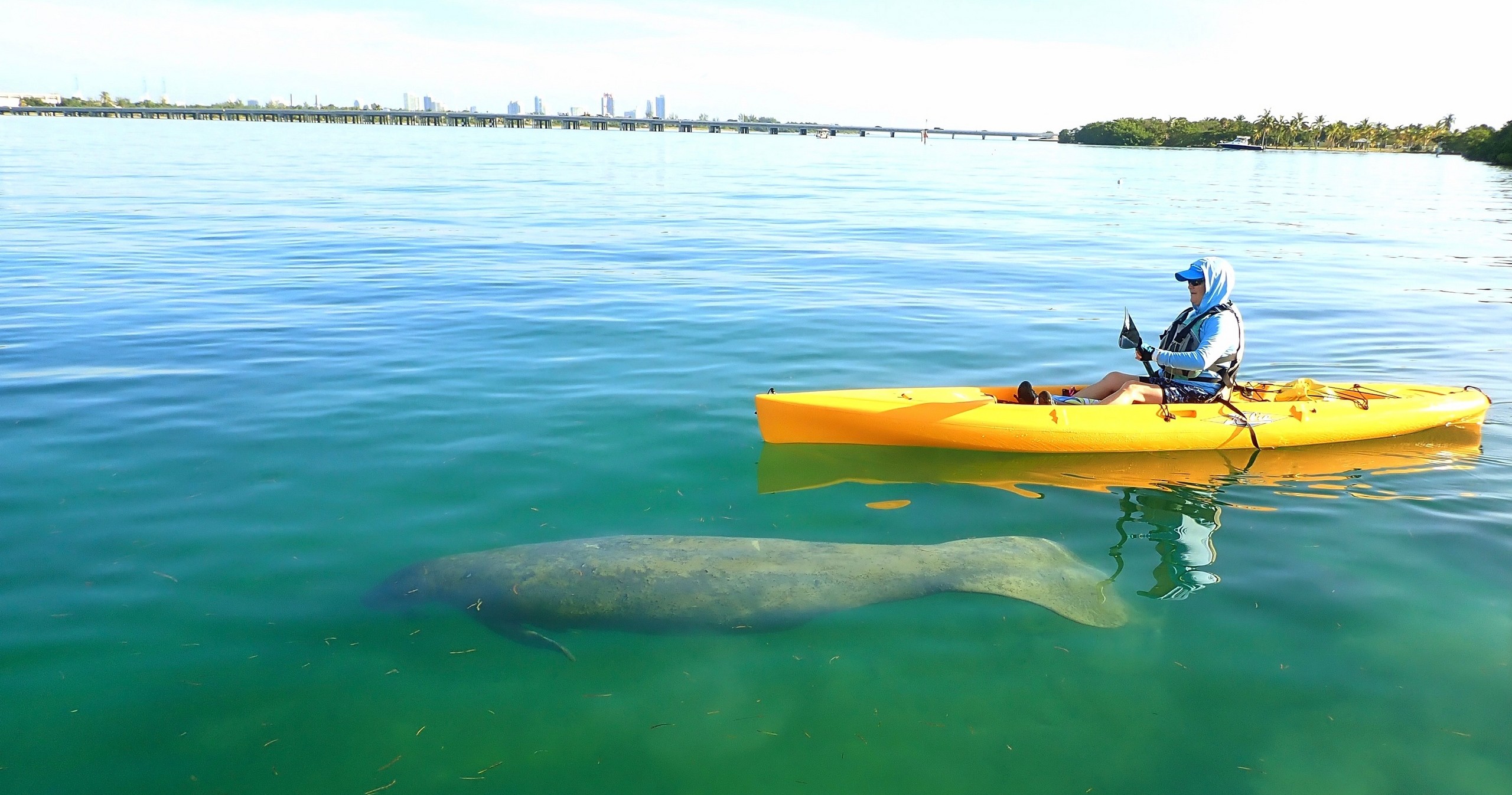 Private Guided Kayak Eco Adventure •Â Miami
