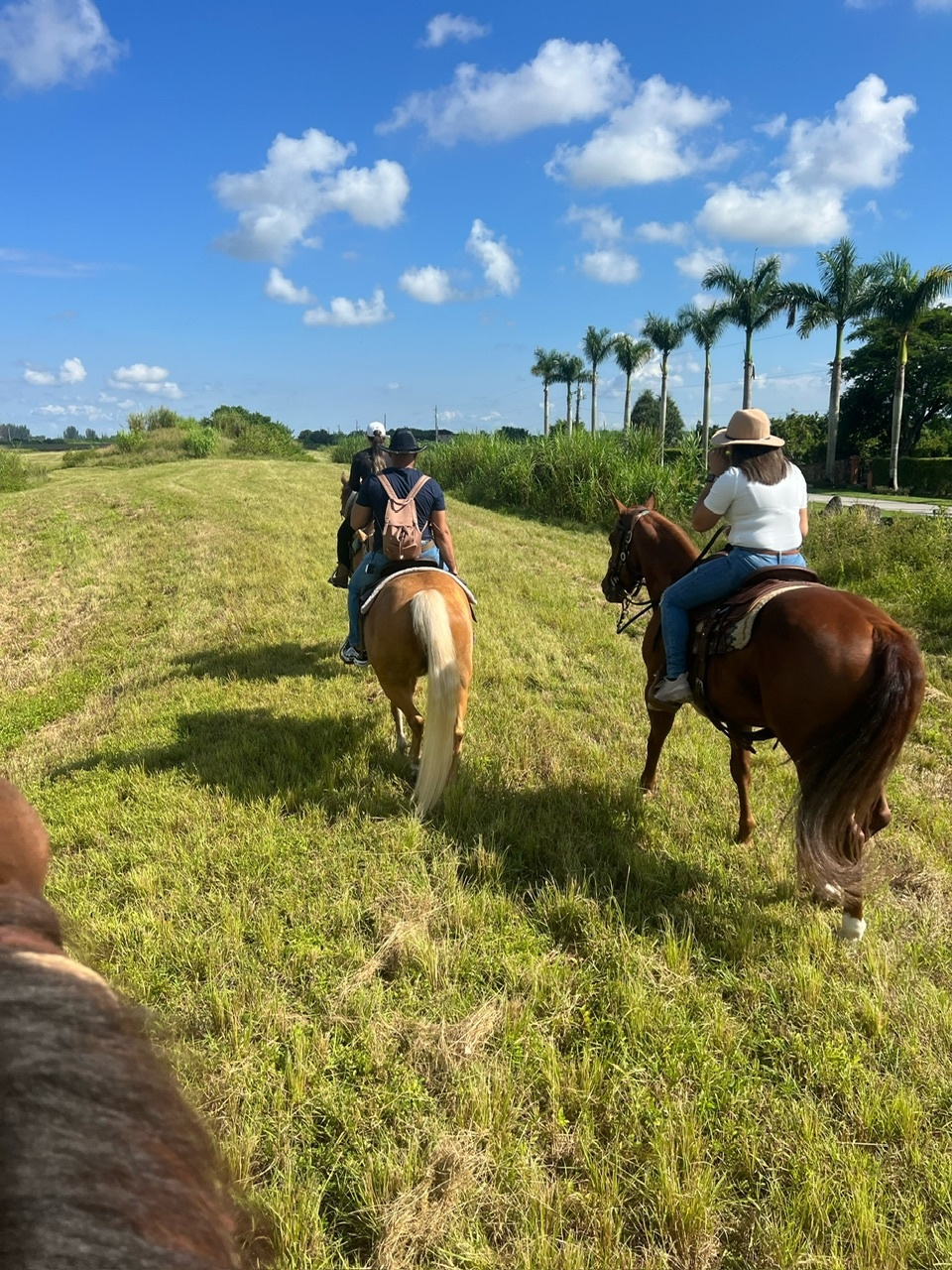 1 Hour Horseback Riding Tour + Meet and greet