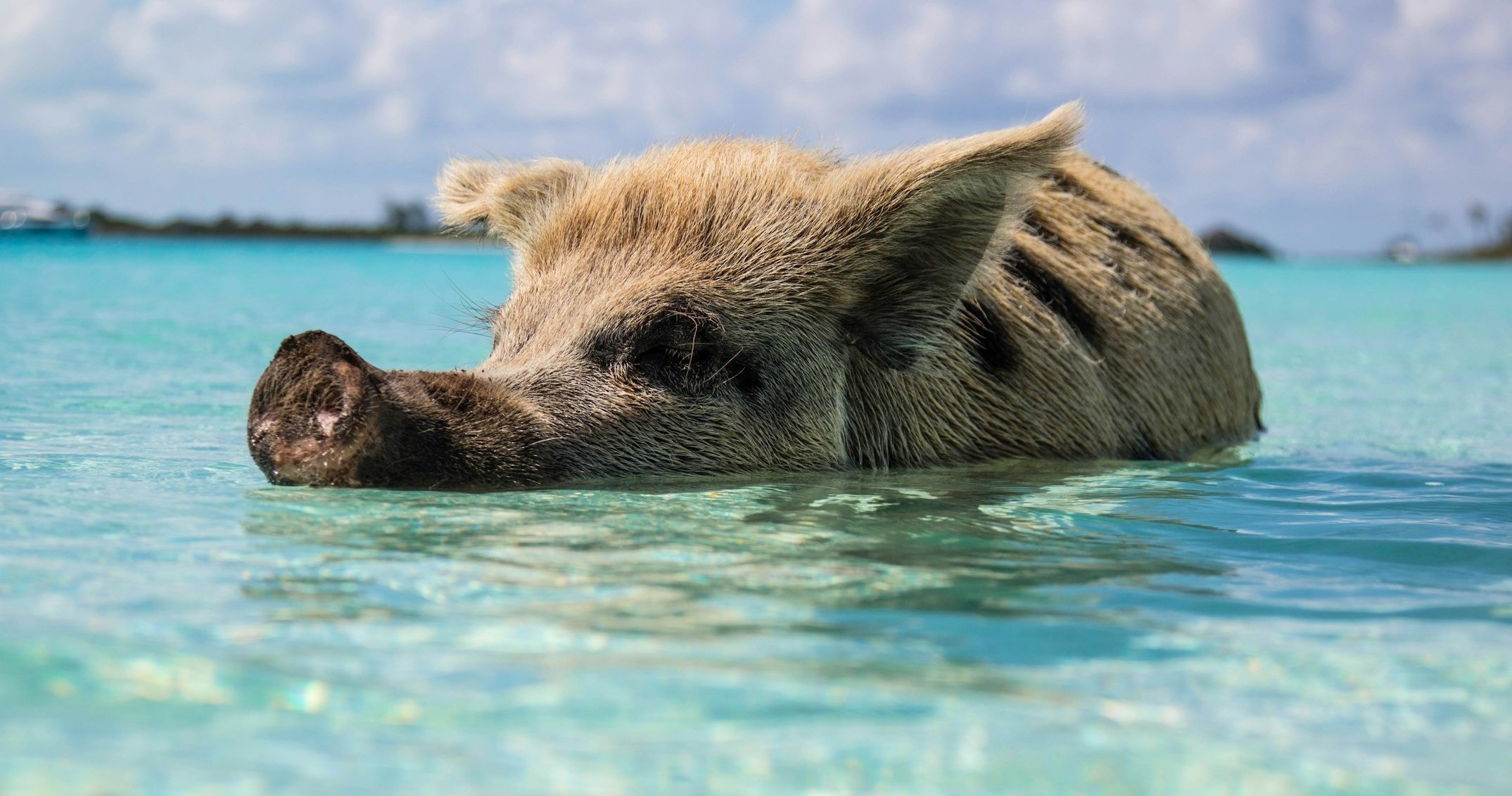 Exuma Island Experience