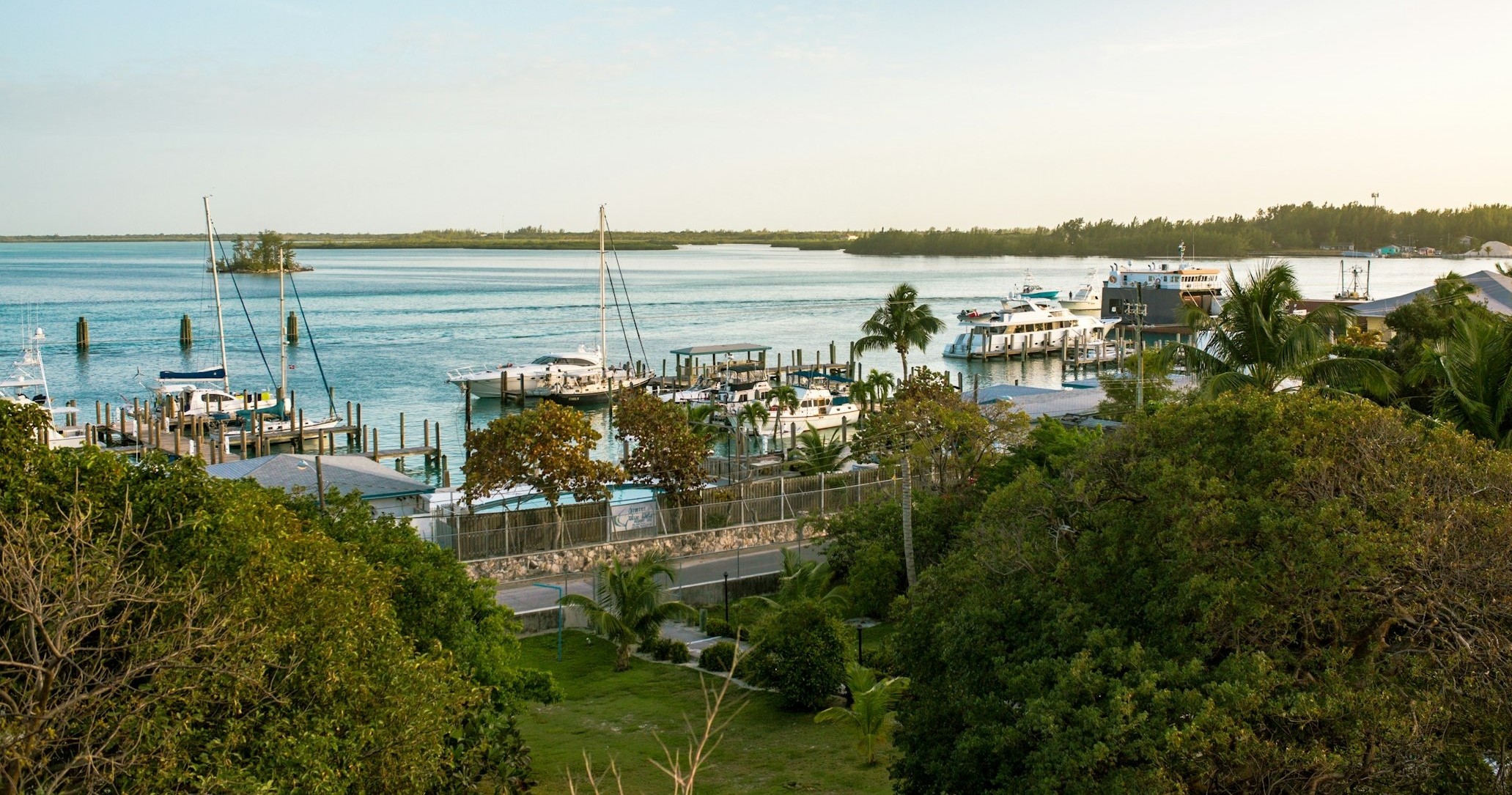 Bimini Island Experience