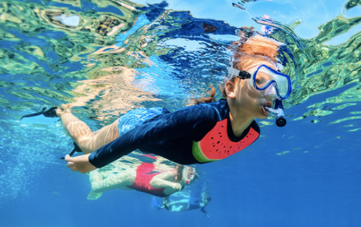 Snorkeling Trip