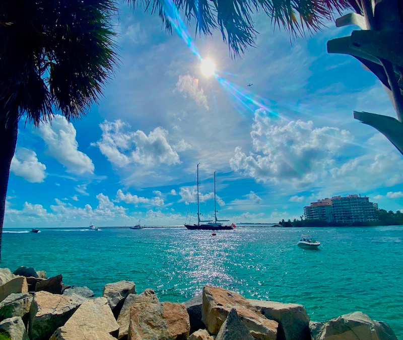 Hidden Gems, Waterfront, and Museum Miami Walking Tour