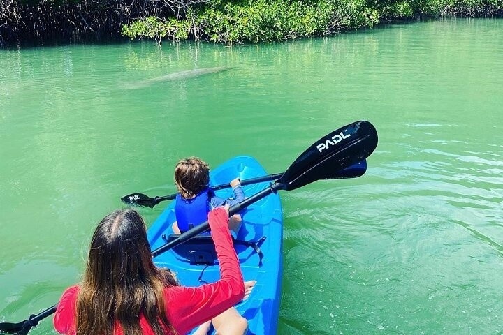 Kayak Rentals