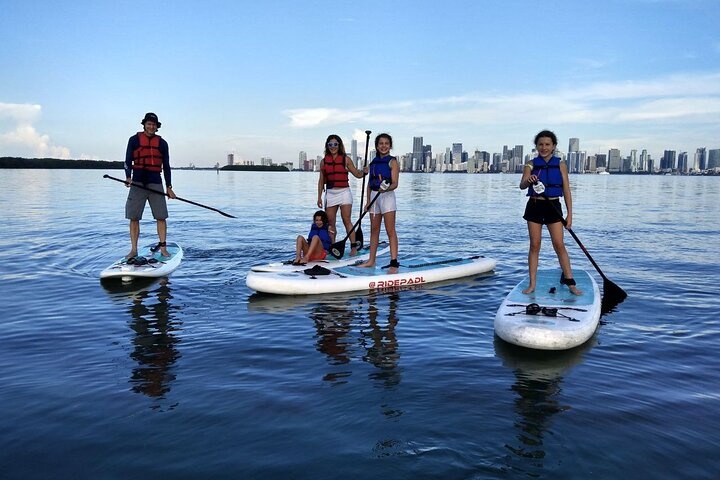 Paddle Board Rentals