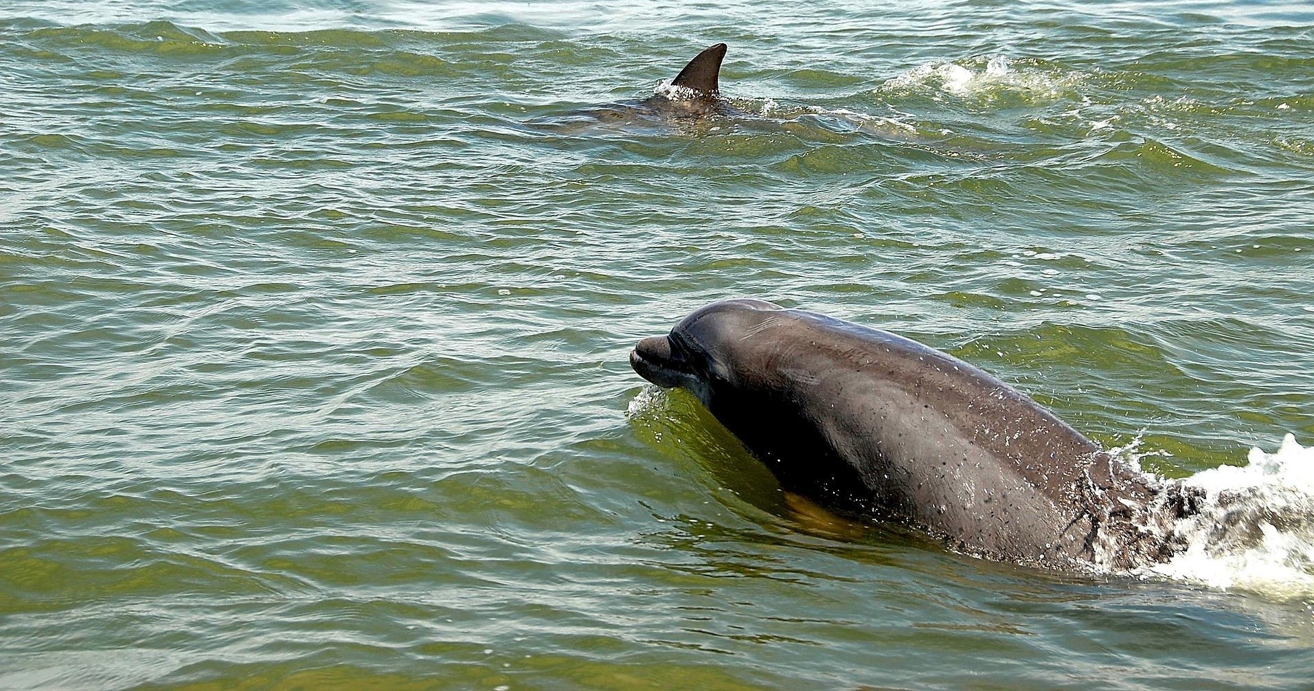 Private Full Day Trip