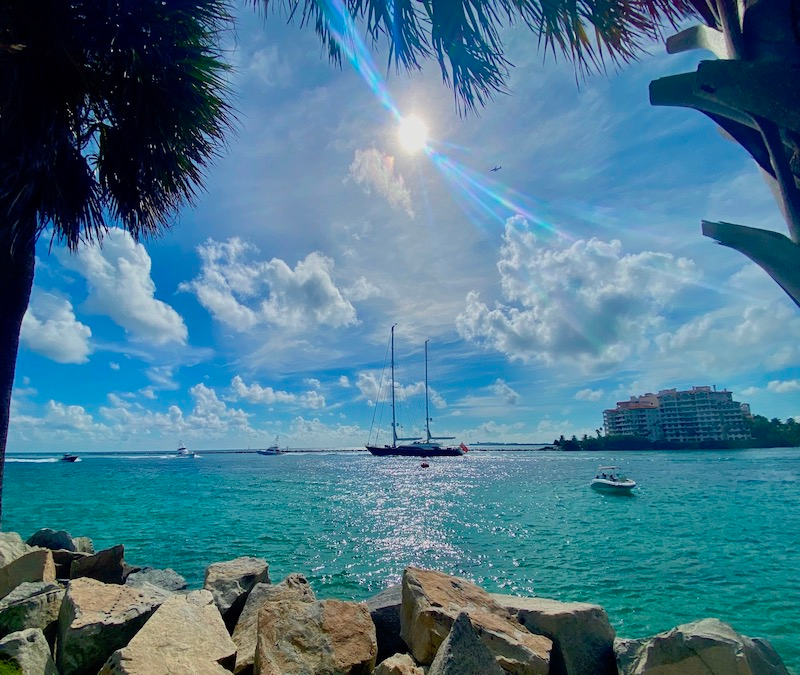 Hidden Gems, Waterfront, and Museum Miami Walking Tour